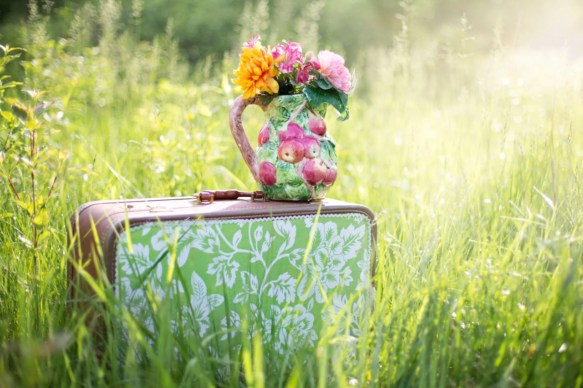 ein Koffer auf der Wiese mit Blumen in einer Vase